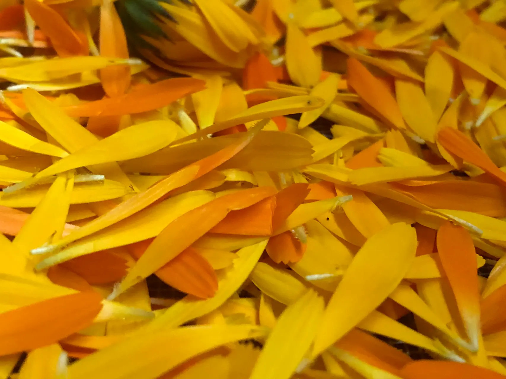 HANDBALSAM Ansicht 3