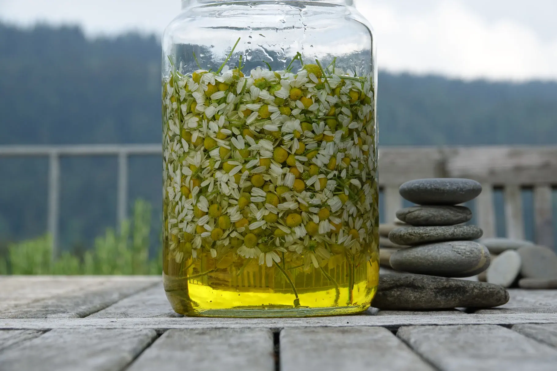 HANDBALSAM Ansicht 5