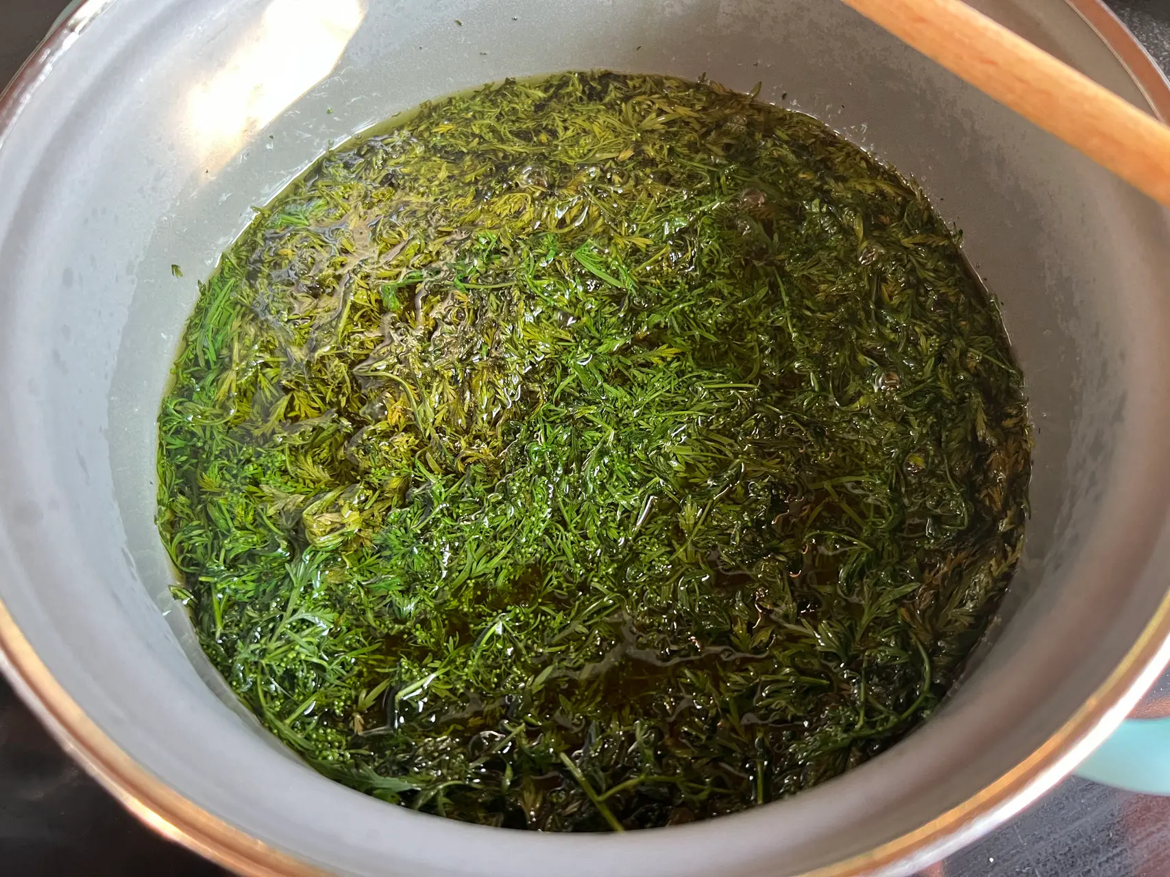 Urtinktur Artemisia Annua Ansicht 5